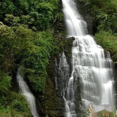地球守护者